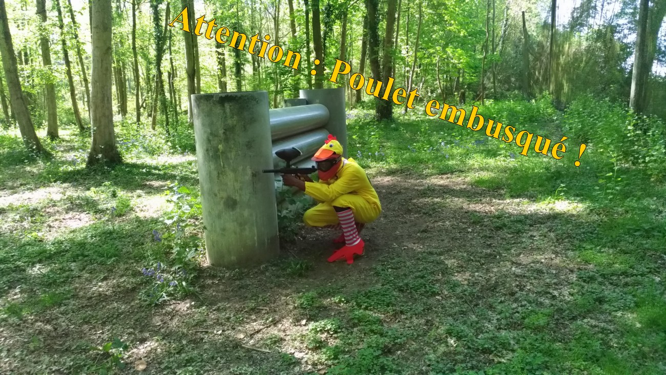 Costume poulet paintball ourcadia
